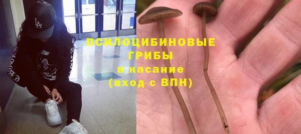 хмурый Арсеньев