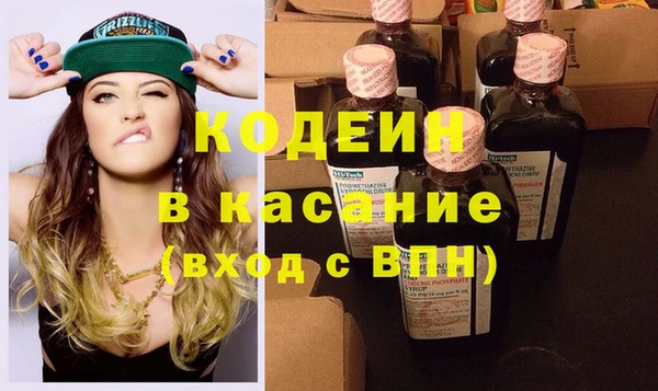 хмурый Арсеньев