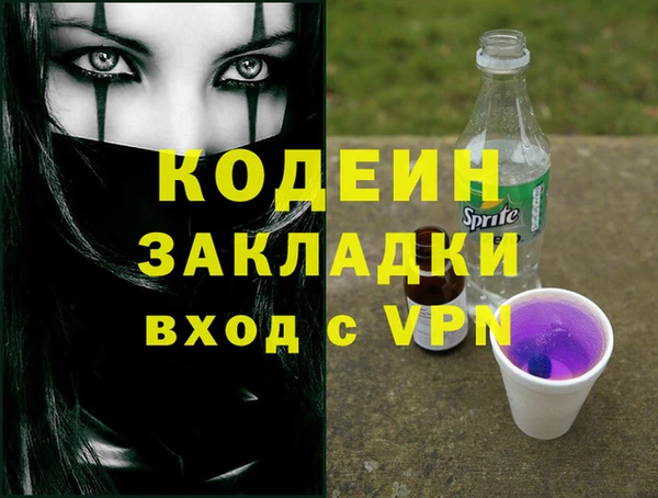 хмурый Арсеньев