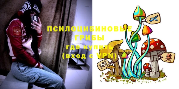 молекула духа Армянск