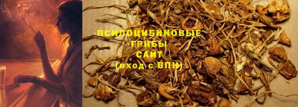хмурый Арсеньев