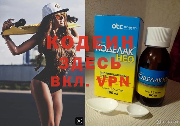 хмурый Арсеньев