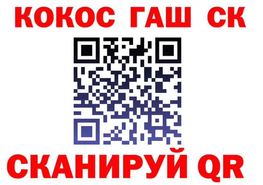 ГАШ Premium зеркало площадка гидра Борзя